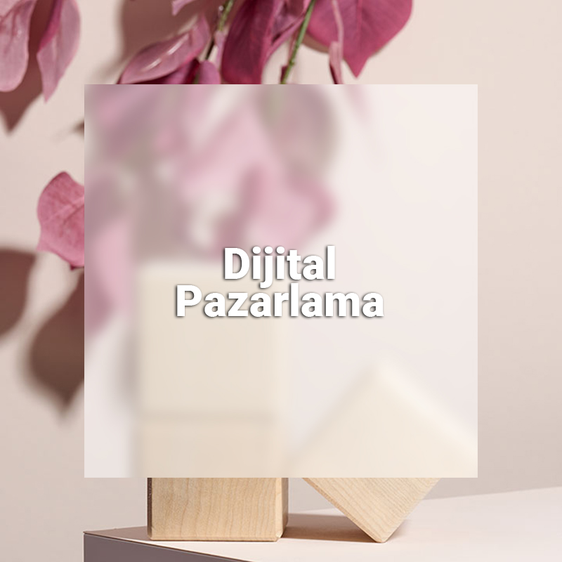 medialya design dijital pazarlama